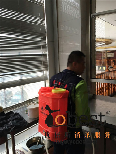 成功案例