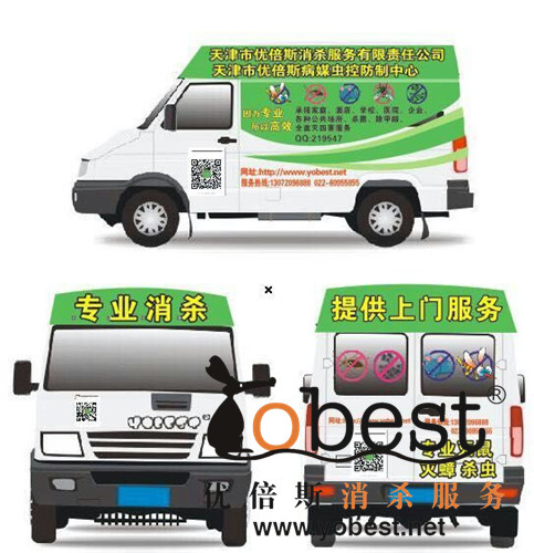 成功案例