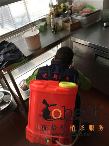 成功案例