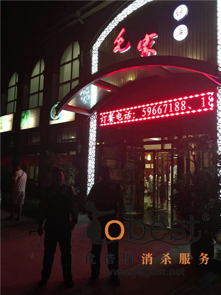 成功案例