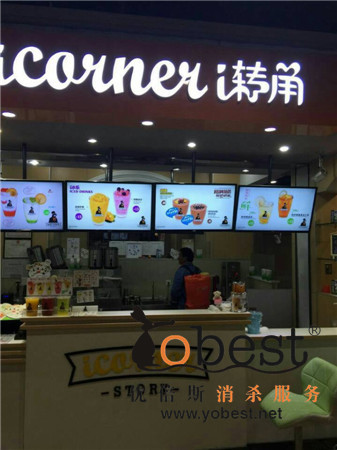 成功案例