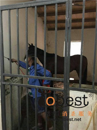 成功案例