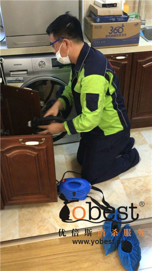 成功案例