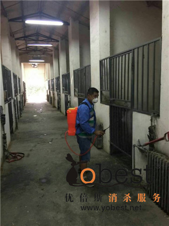 成功案例
