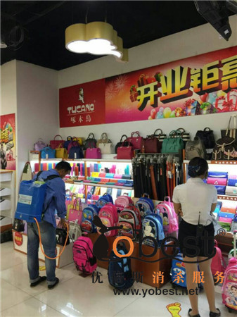 成功案例