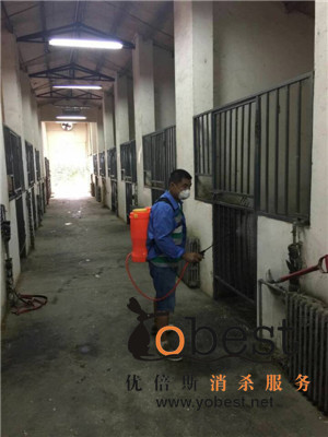 成功案例