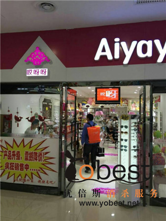 成功案例