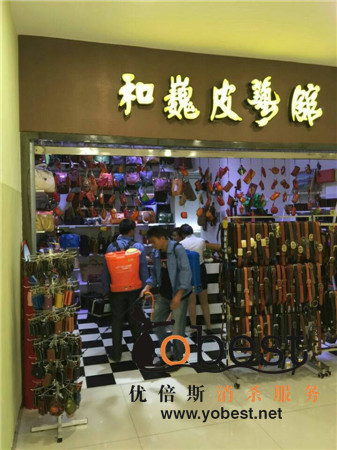 成功案例