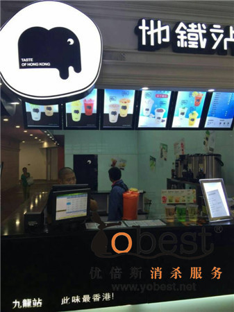 成功案例