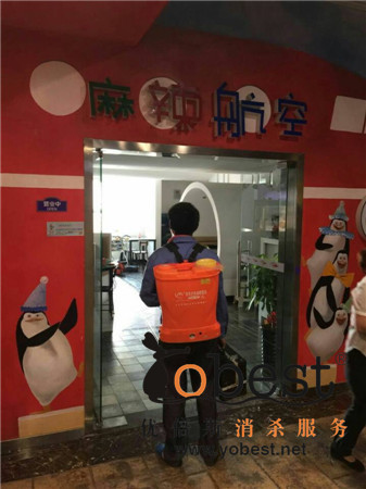 成功案例