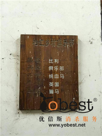 成功案例