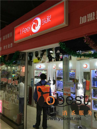 成功案例