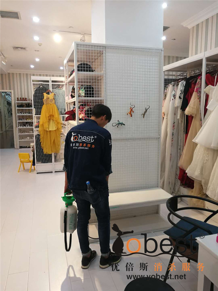 成功案例