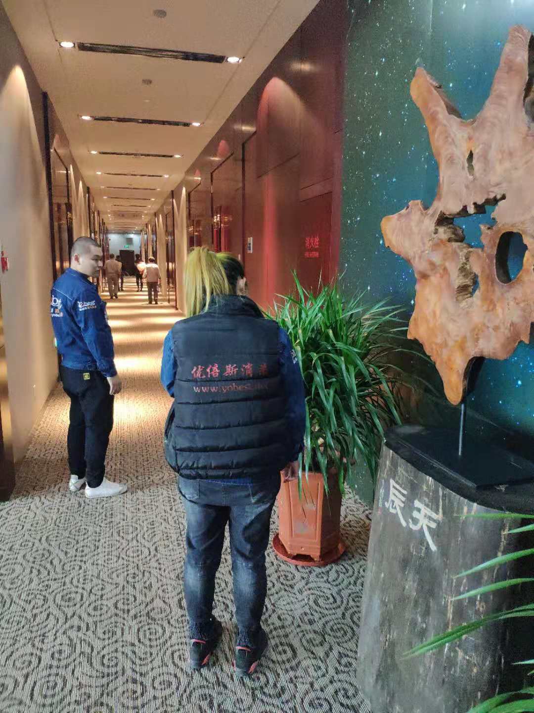 天辰科技園整體消殺 